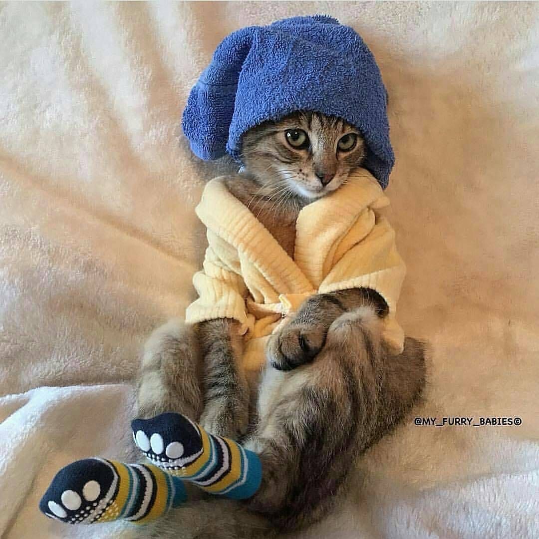 Аватара пользователя
